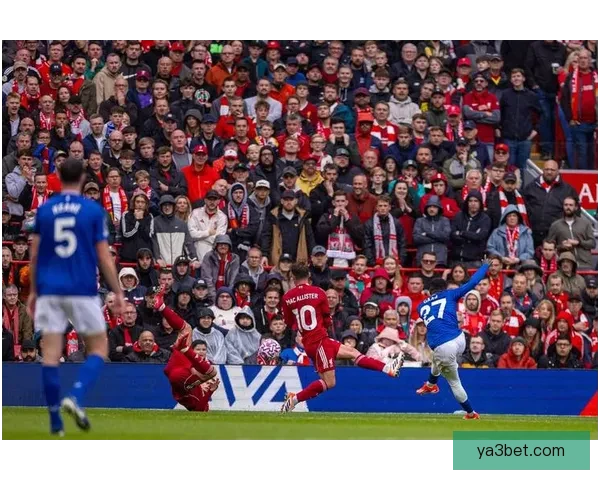 加克波拉起倒地科尔克茨赛后利物浦球员握手彰显体育精神